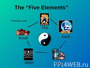 The “Five Elements” Productive cycle Wood Fire EarthWaterMetal
