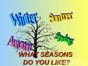 Winter Summer Autumn Spring WHAT SEASONS DO YOU LIKE?
