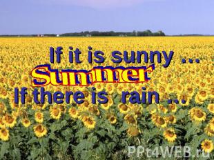 If it is sunny … Summer If there is rain …
