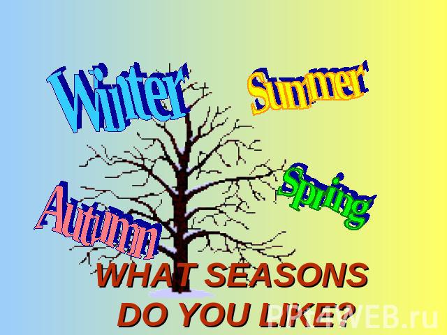 Winter Summer Autumn Spring WHAT SEASONS DO YOU LIKE?