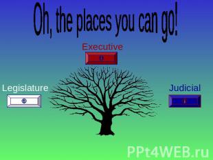 Oh, the places you can go! Legislature Executive Judicial