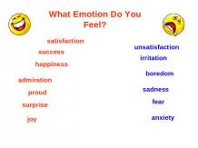 What Emotion Do You Feel ?