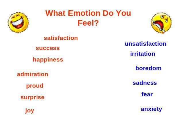 What Emotion Do You Feel ? satisfaction success happiness admiration proudsurprise joyunsatisfaction irritation boredom sadness fear anxiety