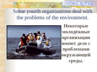 Some yourth organizations deal with the problems of the environment. Некоторые м