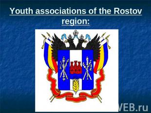 Youth associations of the Rostov region: