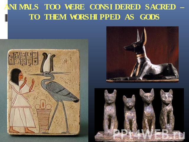 ANIMALS TOO WERE CONSIDERED SACRED – TO THEM WORSHIPPED AS GODS