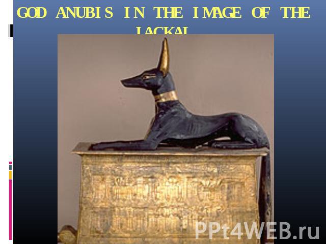 GOD ANUBIS IN THE IMAGE OF THE JACKAL