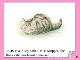 THIS is a Pussy called Miss Moppet, she thinks she has heard a mouse!