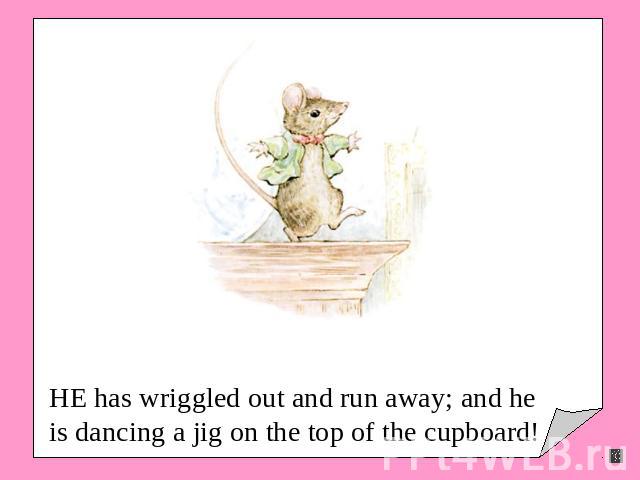 HE has wriggled out and run away; and he is dancing a jig on the top of the cupboard!