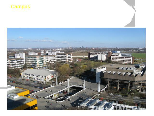 Campus— the campus including, as a rule, educational premises, scientific research institutes, premises for students, libraries, audiences, dining rooms and etc.