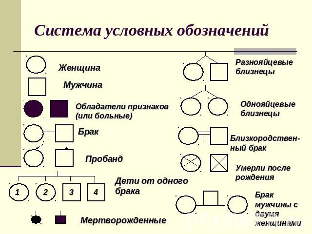 Система условных обозначений