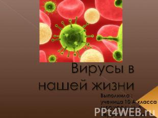 Вирусы в нашей жизни Выполнила :ученица 10 А класса МБОУСОШ № 2 Вербская Мария