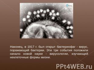 Наконец, в 1917 г. был открыт бактериофаг - вирус, поражающий бактерии. Эти три