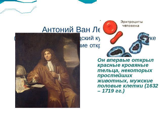Антоний Ван Левенгук (1632 – 1723) – голландский купец, подарил науке величайшие открытия. Он впервые открыл красные кровяные тельца, некоторых простейших животных, мужские половые клетки (1632 – 1719 гг.)