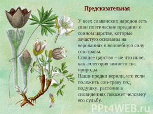 Предсказательная У всех славянских народов есть свои поэтические предания о сонн