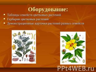 Оборудование: Таблицы семейств цветковых растенийГербарии цветковых растенийДемо