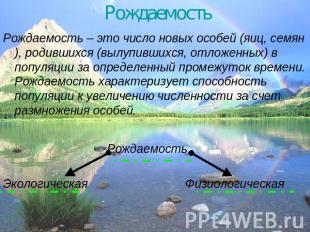 Рождаемость Рождаемость – это число новых особей (яиц, семян), родившихся (вылуп