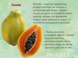 Папайя Папайя – содержит ферменты, воздействующие на липиды и расщепляющие белки