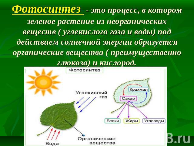 Фотосинтез - это процесс, в котором зеленое растение из неорганических веществ ( углекислого газа и воды) под действием солнечной энергии образуется органические вещества ( преимущественно глюкоза) и кислород.