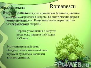 Romanescu Романеску, или романская брокколи, цветная коралловая капуста. Ее экзо