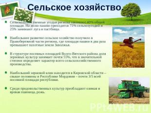 Сельское хозяйство. Сельскохозяйственные угодья региона занимают 40% общей площа