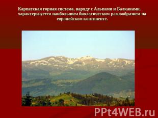 Карпатская горная система, наряду с Альпами и Балканами, характеризуется наиболь