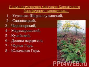 Схема размещения массивов Карпатского биосферного заповедника: 1 – Угольско-Широ