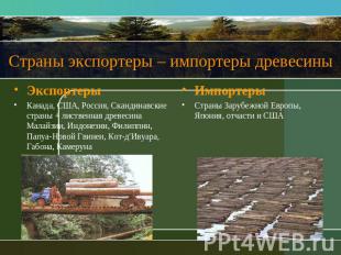 Страны экспортеры – импортеры древесины ЭкспортерыКанада, США, Россия, Скандинав