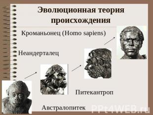Эволюционная теория происхождения Кроманьонец (Homo sapiens) Неандерталец Питека
