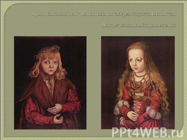 Принц Саксонии, 1517, Национальная галерея искусств, Вашингтон Портрет саксонской принцессы, 15
