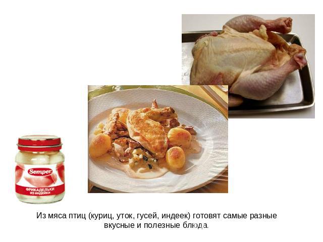 Из мяса птиц (куриц, уток, гусей, индеек) готовят самые разные вкусные и полезные блюда.