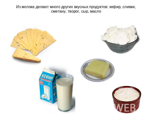 Из молока делают много других вкусных продуктов: кефир, сливки, сметану, творог, сыр, масло