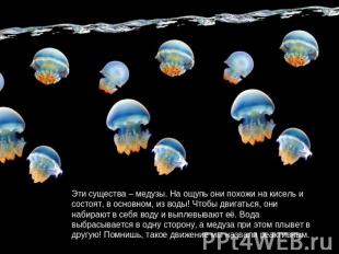 Эти существа – медузы. На ощупь они похожи на кисель и состоят, в основном, из в