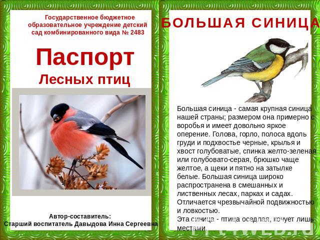 Государственное бюджетное образовательное учреждение детский сад комбинированного вида № 2483 ПаспортЛесных птиц Автор-составитель: Старший воспитатель Давыдова Инна Сергеевна БОЛЬШАЯ СИНИЦА Большая синица - самая крупная синица нашей страны; размер…