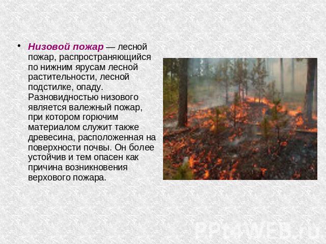 Низовой пожар — лесной пожар, распространяющийся по нижним ярусам лесной растительности, лесной подстилке, опаду. Разновидностью низового является валежный пожар, при котором горючим материалом служит также древесина, расположенная на поверхности по…