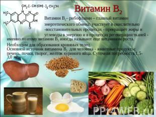 Витамин В2 Витамин В2– рибофлавин – главный витамин энергетического обмена: учас