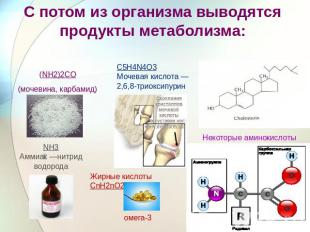 С потом из организма выводятся продукты метаболизма: (NH2)2CO(мочевина, карбамид