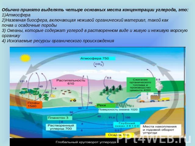 Обычно принято выделять четыре основных места концентрации углерода, это:1)Атмосфера2)Наземная биосфера, включающая неживой органический материал, такой как почва и осадочные породы3) Океаны, которые содержат углерод в растворенном виде и живую и не…