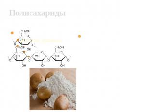 Полисахариды Крахмал Полисахариды —сложныхе высокомолекулярные углеводы, молекул