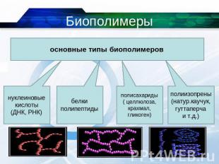Биополимеры основные типы биополимеров нуклеиновые кислоты(ДНК, РНК) белкиполипе