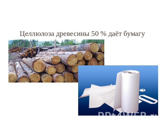 Целлюлоза древесины 50 % даёт бумагу