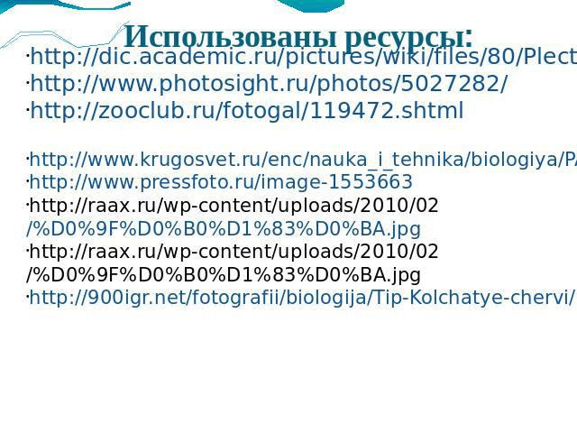 Использованы ресурсы: http://dic.academic.ru/pictures/wiki/files/80/Plectaster_decanus.jpghttp://www.photosight.ru/photos/5027282/http://zooclub.ru/fotogal/119472.shtml http://www.krugosvet.ru/enc/nauka_i_tehnika/biologiya/PAUKI.htmlhttp://www.press…