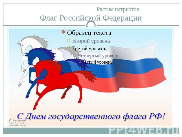 Растим патриотовФлаг Российской Федерации