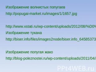 Изображение волнистых попугаевhttp://popugai-market.ru/images/1/1657.jpghttp://w