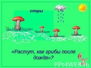 споры «Растут, как грибы после дождя»?