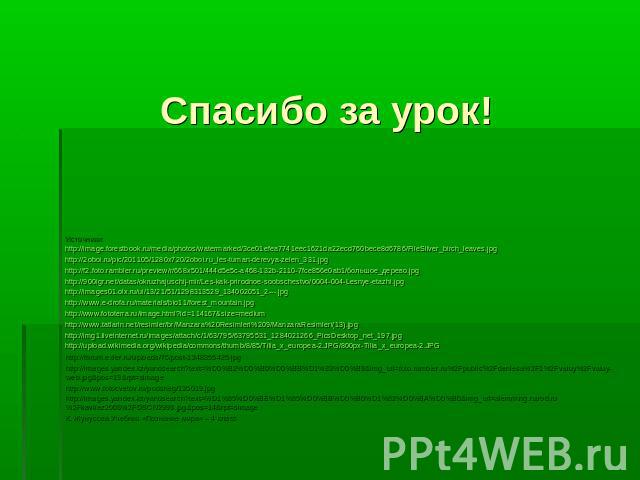 Спасибо за урок! Источники:http://image.forestbook.ru/media/photos/watermarked/3ce01efea7741eec1621da22ecd760bece8d6786/FileSilver_birch_leaves.jpghttp://2oboi.ru/pic/201105/1280x720/2oboi.ru_les-tuman-derevya-zelen_331.jpghttp://f2.foto.rambler.ru/…