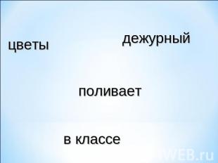 цветы дежурный поливает в классе