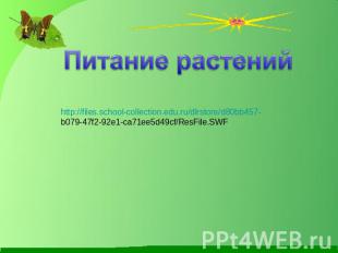 http://files.school-collection.edu.ru/dlrstore/d80bb457-b079-47f2-92e1-ca71ee5d4