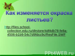 http://files.school-collection.edu.ru/dlrstore/4df4db78-fe8a-4506-b1b9-54c7d9fdc