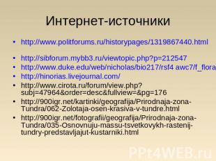 Интернет-источники http://www.politforums.ru/historypages/1319867440.html http:/